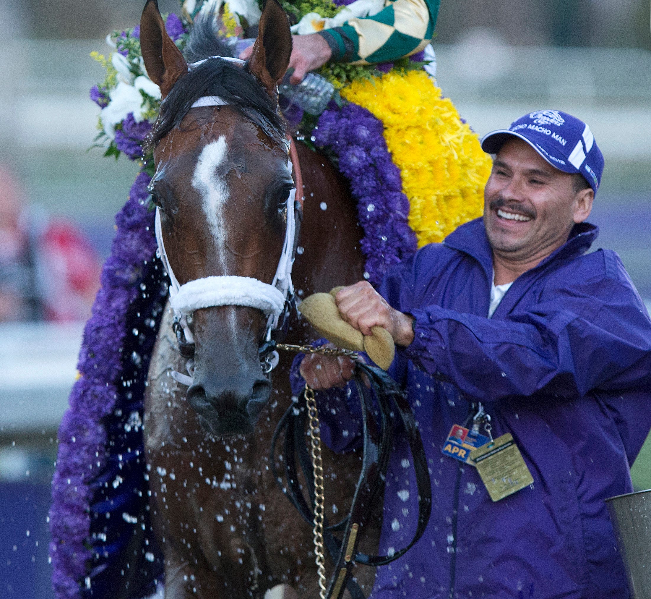 Gulfstream Park Mucho Macho Man Headed To Sunshine Millions 0050